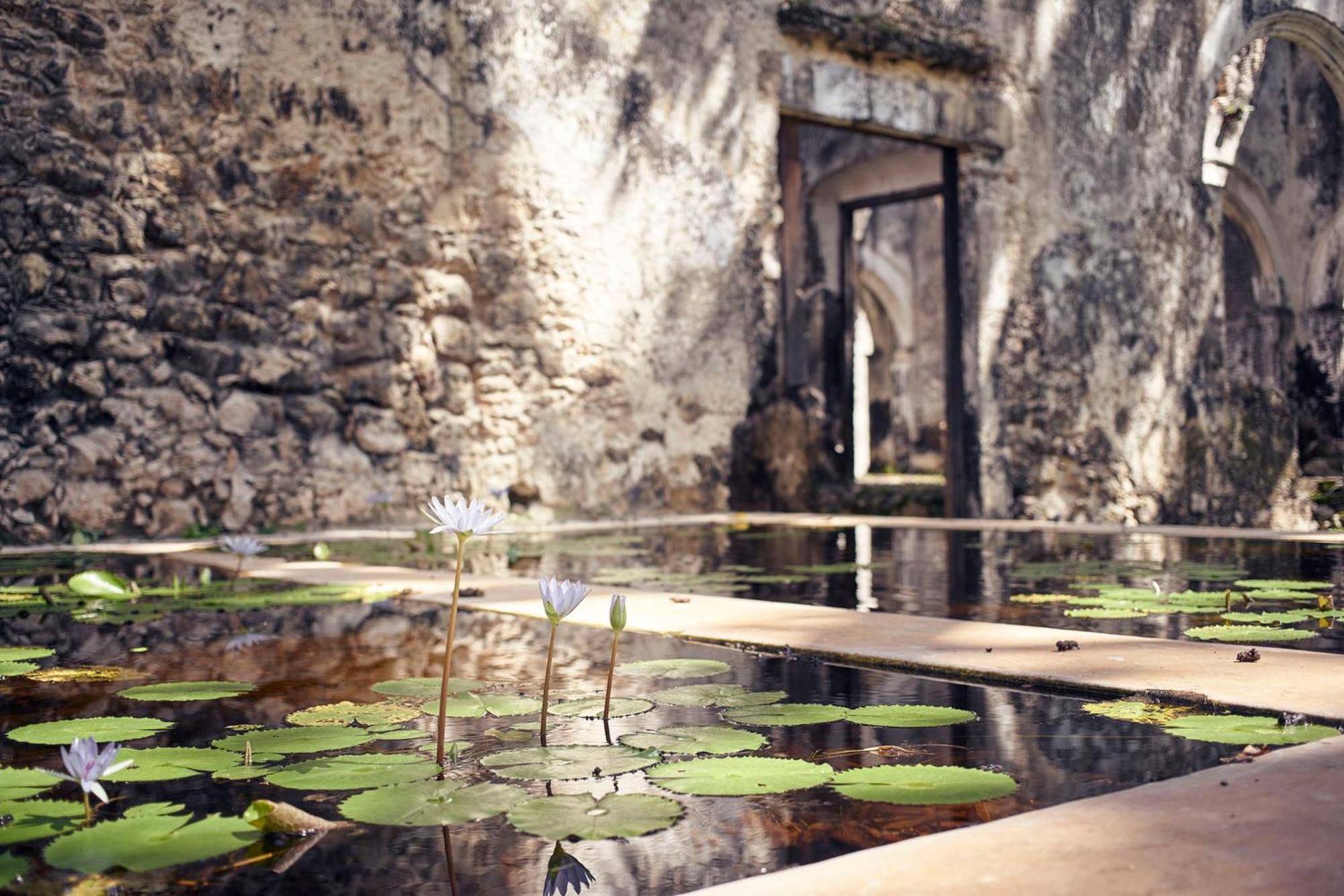 Hotel Hacienda Uayamón Extérieur photo